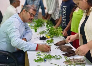 रायपुर: विशेष लेख – छत्तीसगढ़ में जनजातीय युवाओं के सशक्तिकरण की अभिनव पहल