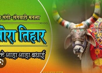 मुख्यमंत्री  विष्णु देव साय  सितम्बर को तीजा-पोरा तिहार में शामिल होंगे