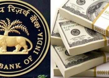 भारत का विदेशी मुद्रा भंडार नई ऊंचाई पर: $683.99 अरब